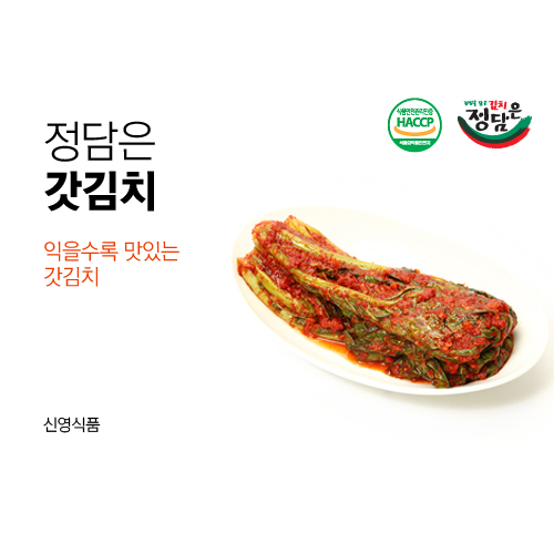 정담은 갓김치[신영식